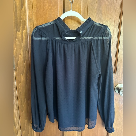 Loft Sheer Sleeve Top - Picture 2 of 2